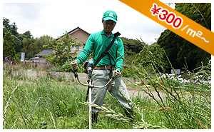 除草、土壌改良 1平方メートル300円から